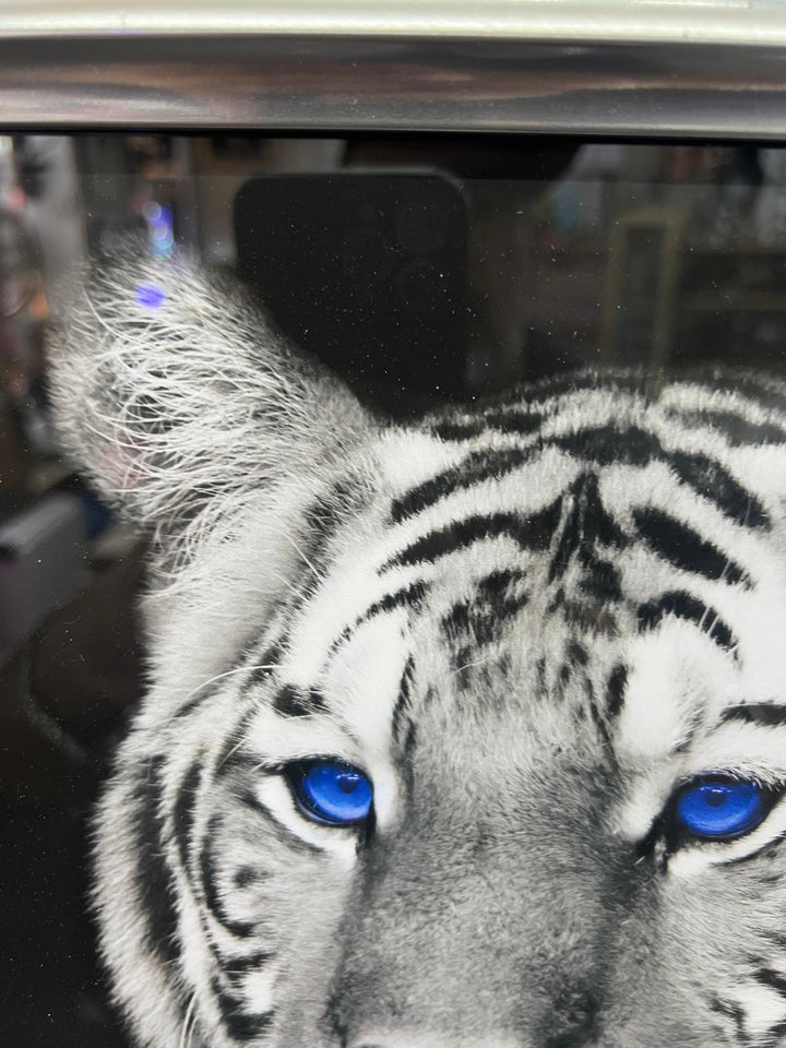 Majestic Tiger Blue Eyes Wall Art Liquid Art Crystals 2 Tone Black Silver frame
