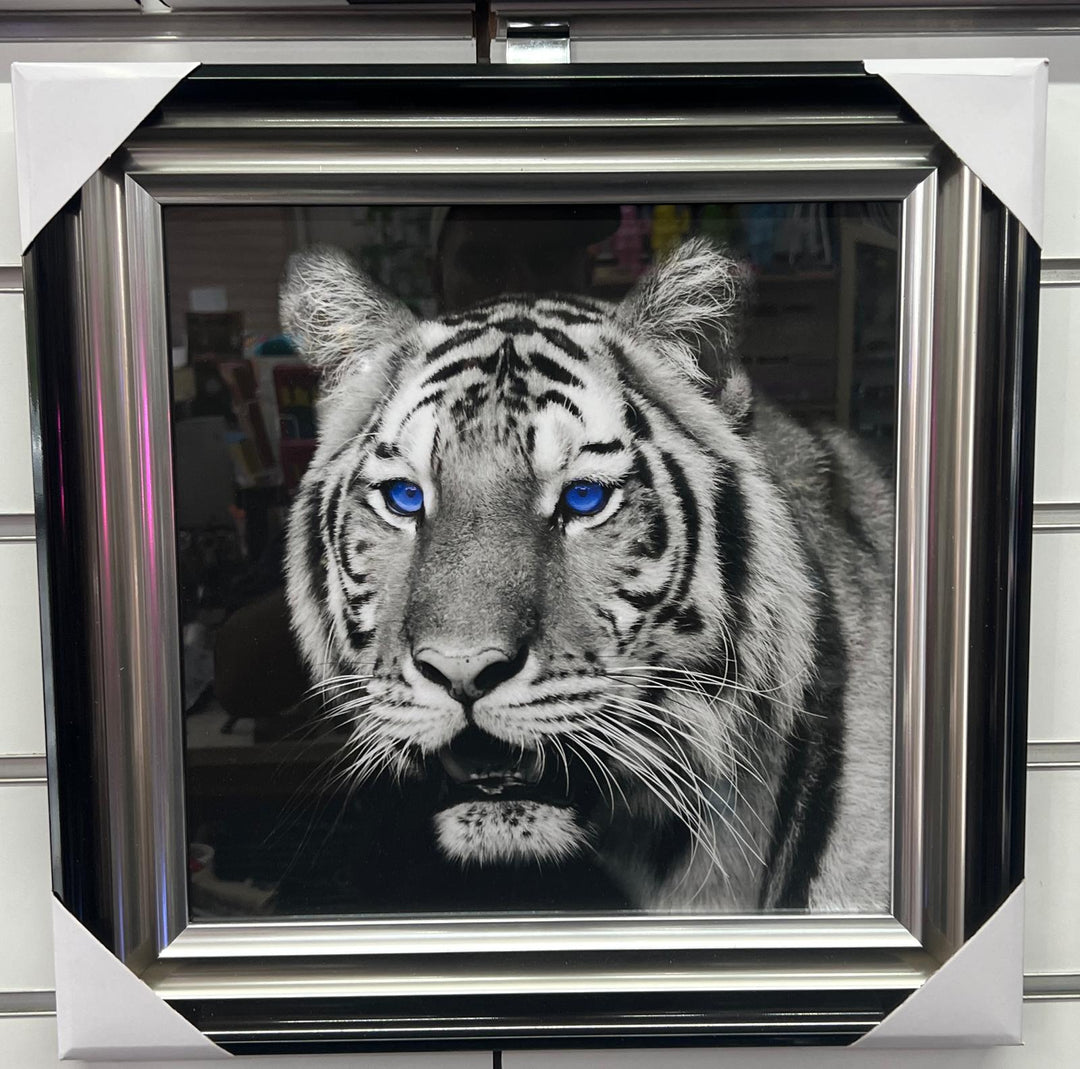 Majestic Tiger Blue Eyes Wall Art Liquid Art Crystals 2 Tone Black Silver frame