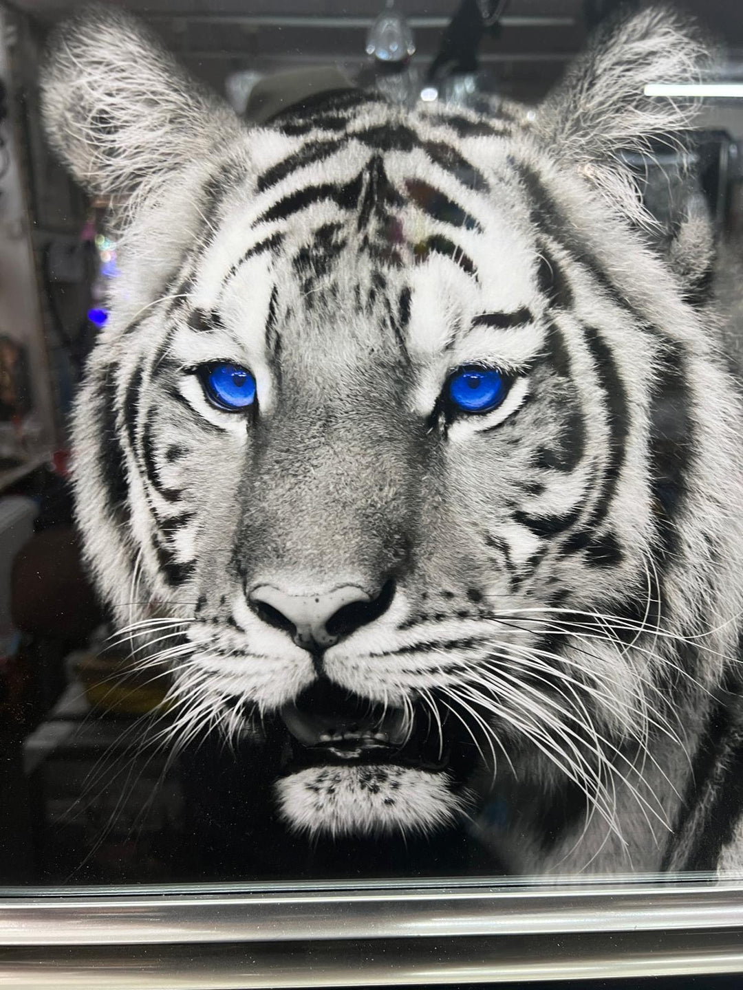 Majestic Tiger Blue Eyes Wall Art Liquid Art Crystals 2 Tone Black Silver frame