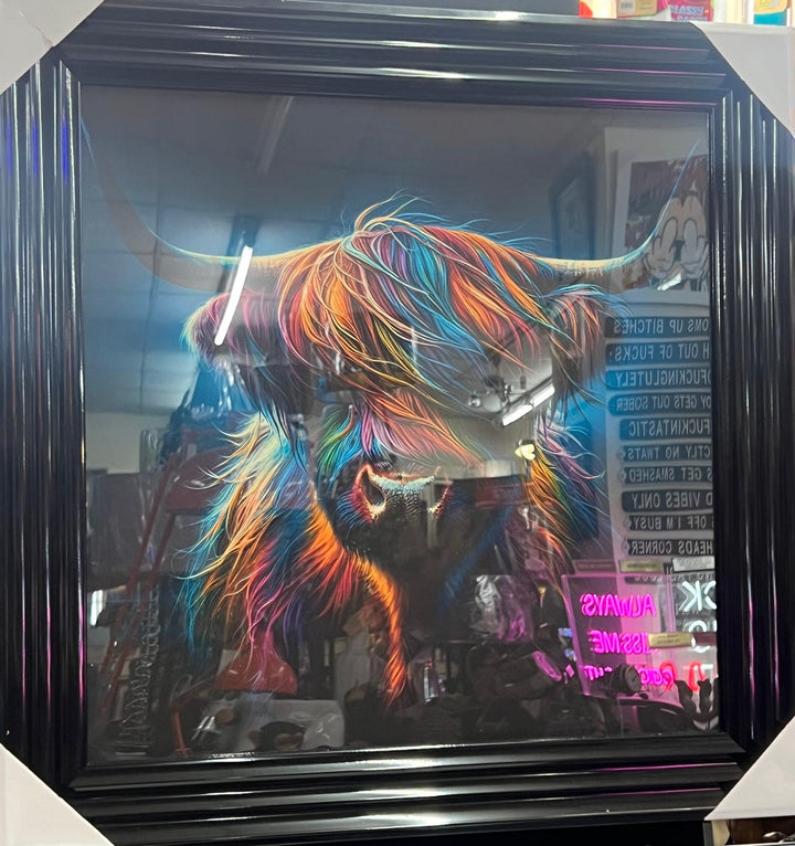 Highland cow bubble/multi colour quirky picture white & Black frame animal wall art