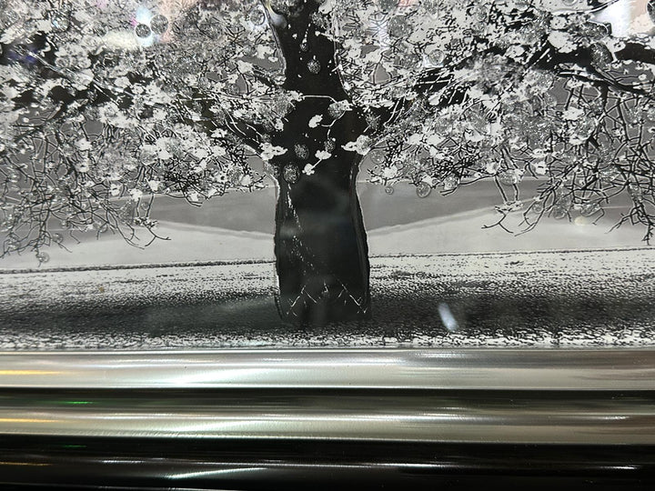 Elegant Black & Gold Two Tone framed Blossom Trees  white orange & gold Art with Liquid Art and Crystals-Assorted colours
