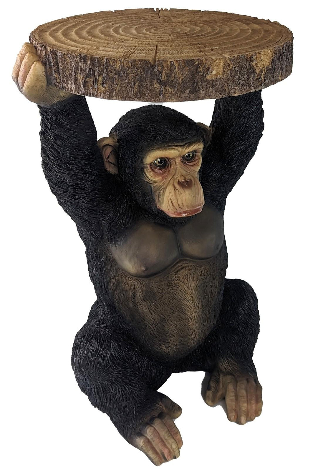 Chimp Holding Trunk Table – Resin Chimpanzee Side Table | Novelty Home Furniture