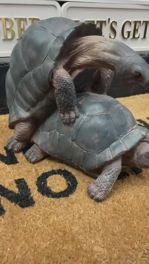 Happy tortoise grey resin cheeky ornament