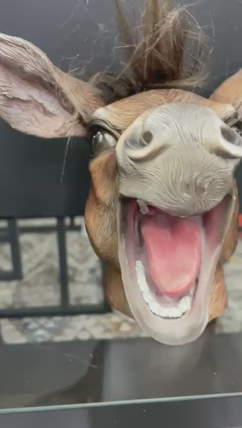Donkey laughing head bust brown resin ornament