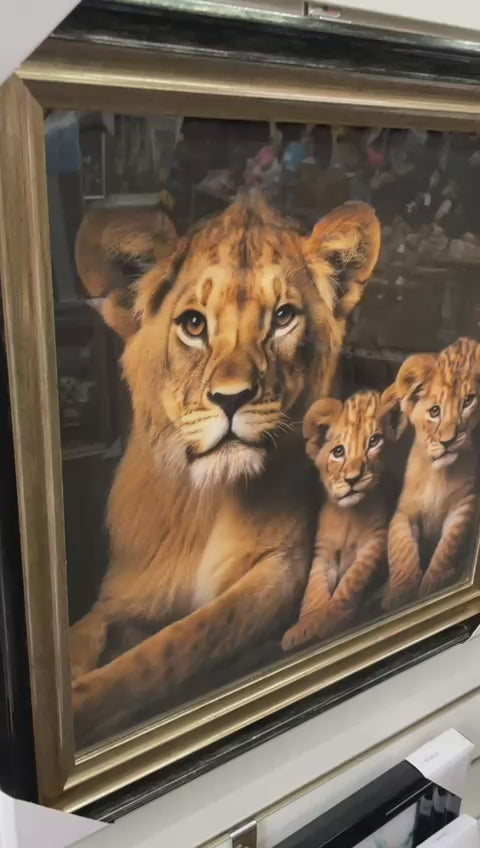 Lion, lioness with 2 cubs black & gold framed step majestic animal picture