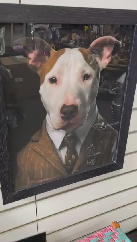 Black framed Englush Bull Terrier dog in a brown suit picture