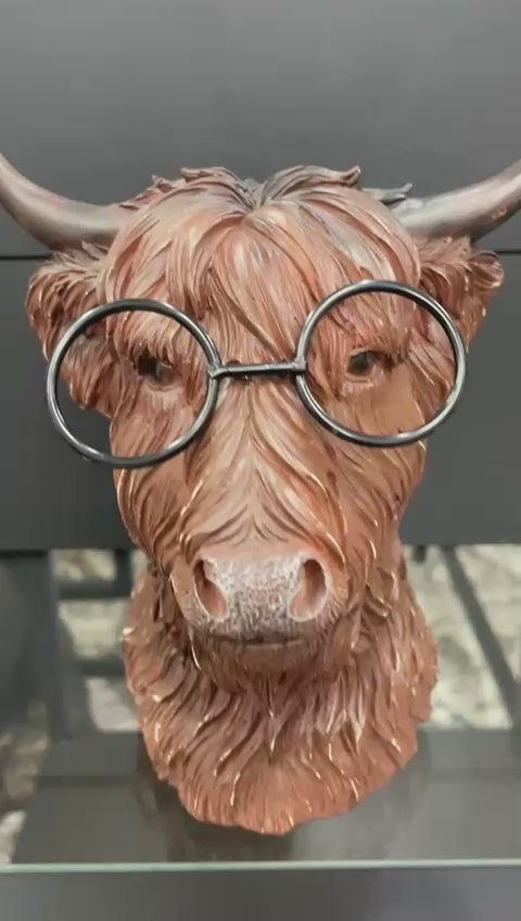 Highland Cow bust wearing glasses brown resin ornament decorative home decor