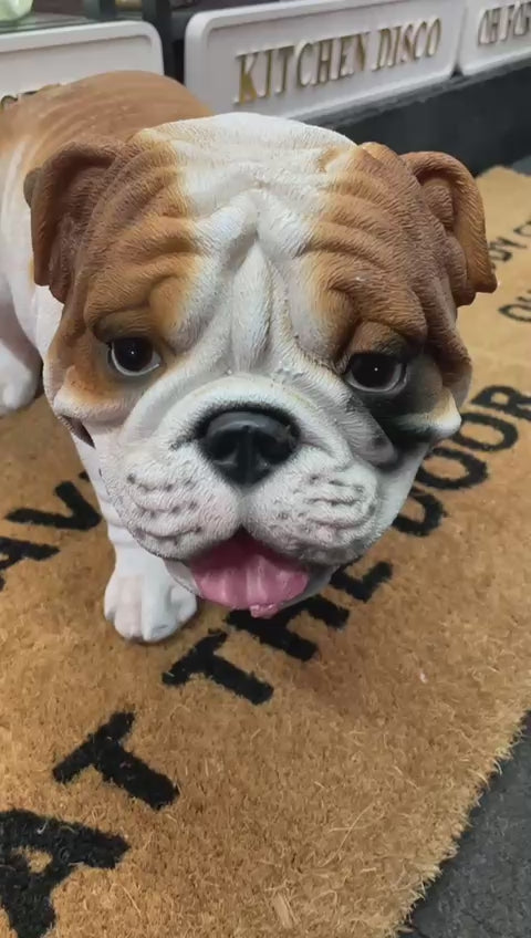 Bulldog Peeing decorative resin ornament free standing