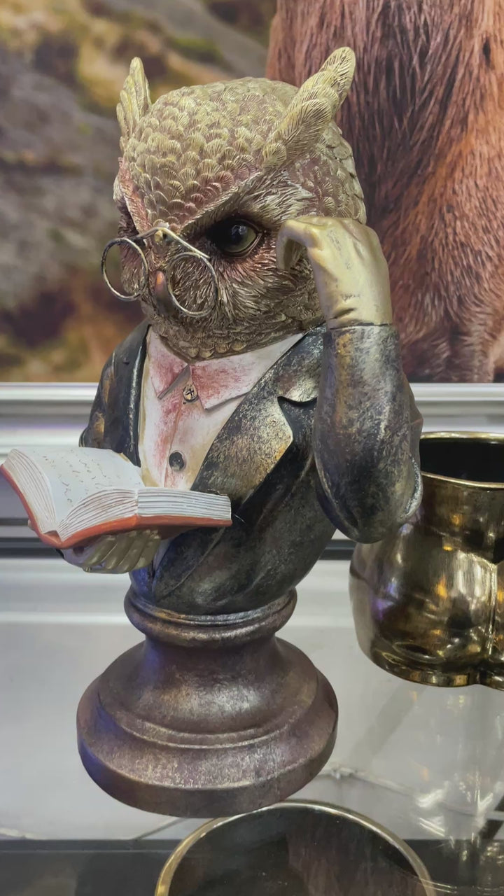 Wise Owl Bust Ornament brushed gold Sculpture wearing Glasses reading a Book