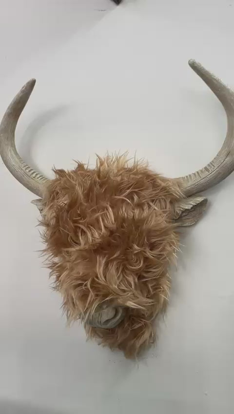 Woolly Highland Cow brown head wall mounted brown ornament