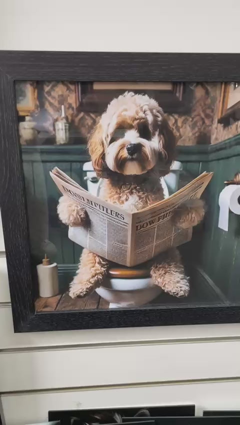 Black and Black & gold step frame Cocka Poo dog on toilet seat newspaper picture