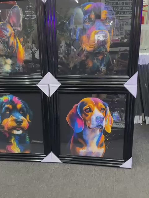 Black step framed Multi colour dog breeds splash of colour pictures wall art