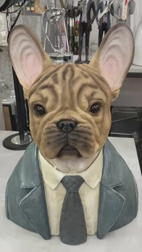 Large French Bulldog bust brown resin wearing suit ornament