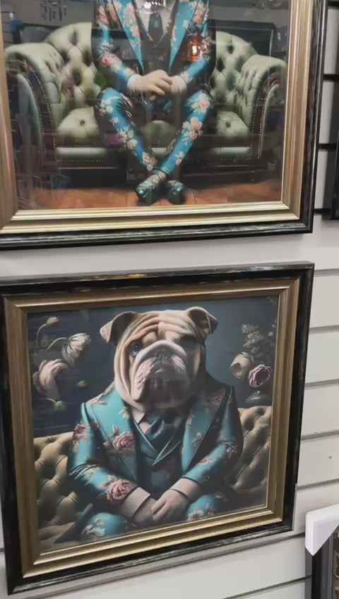 2 Tone Black & Gold step frame Bulldog floral blue suit picture