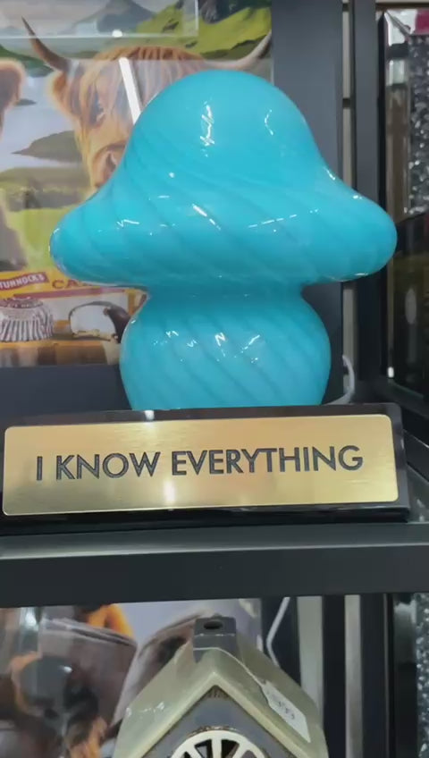 Black & gold I know everything acrylic funny desk plate