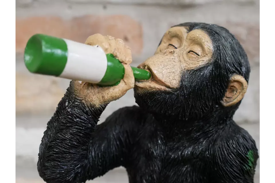 Drunken Monkey black resin decorative funny ornament