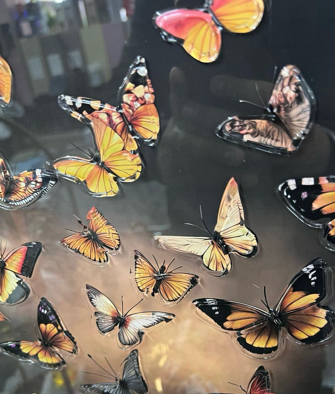 Magical butterflies flying from a book with two tone black and gold frame pictures